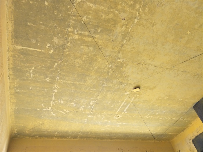 IMG20190518161547.jpg