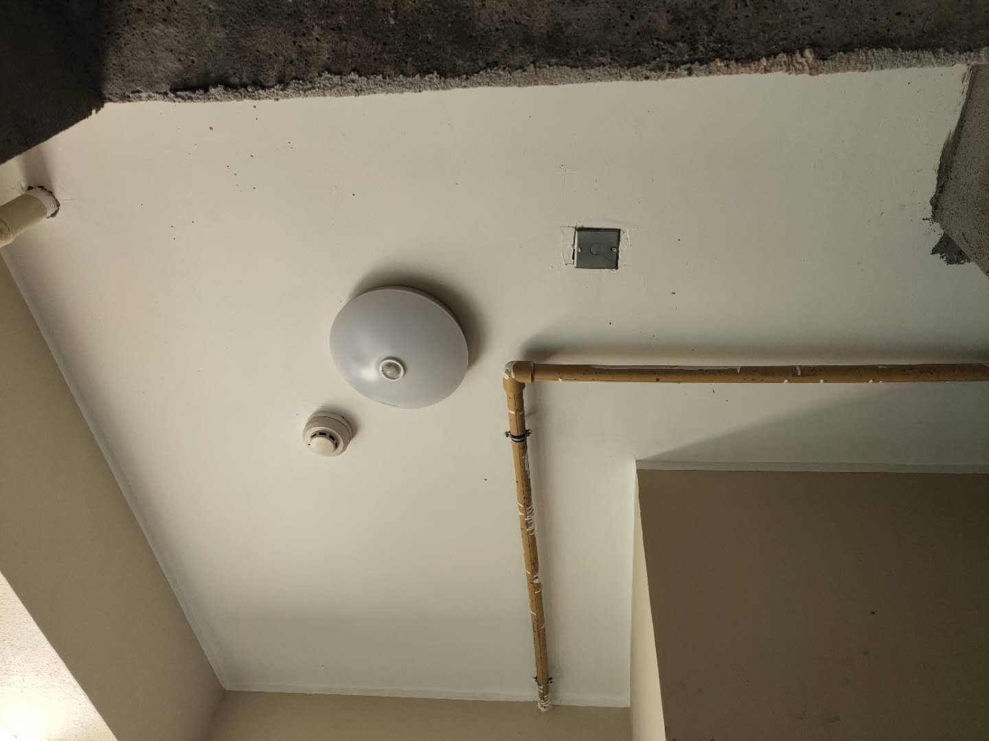 mmexport1558537016928.jpg