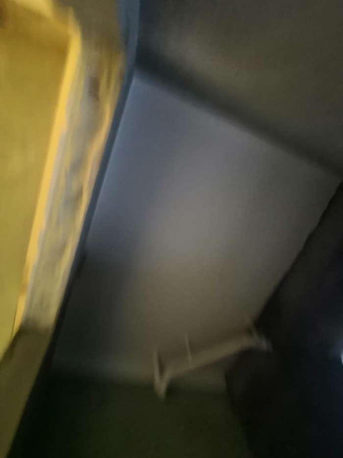 IMG_20190601_155328.jpg