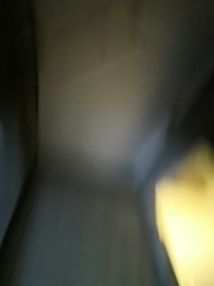 IMG_20190601_155343.jpg