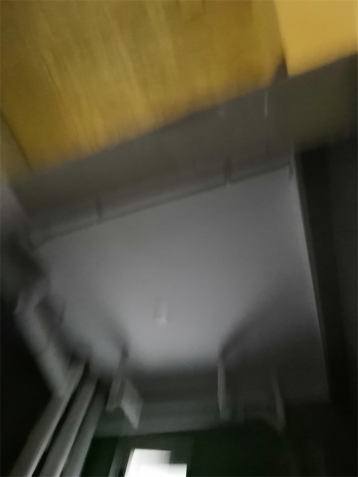 IMG_20190601_150303.jpg