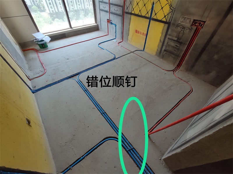 IMG_20190604_113451.jpg