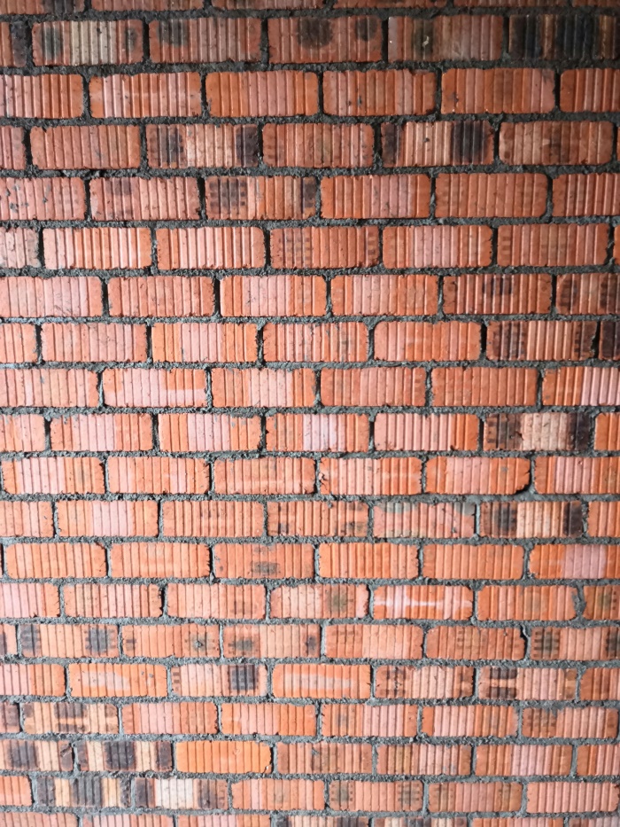 IMG_20190707_094707.jpg