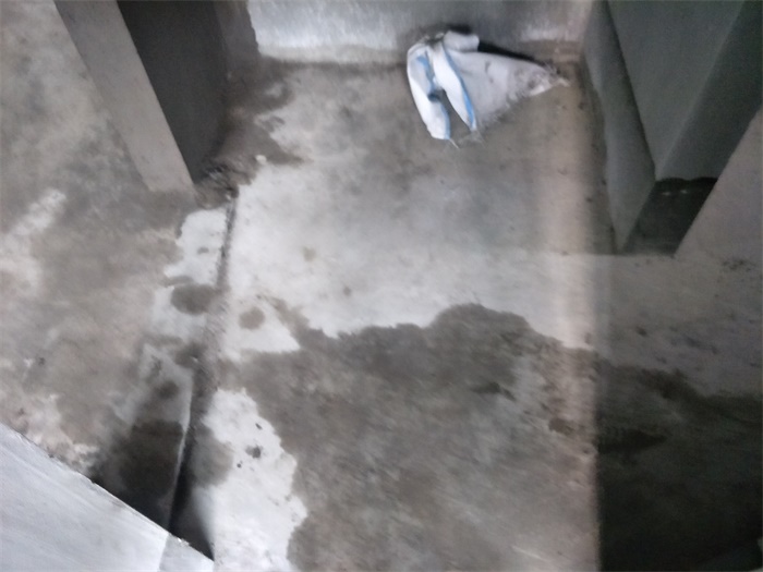 IMG20190512160732.jpg