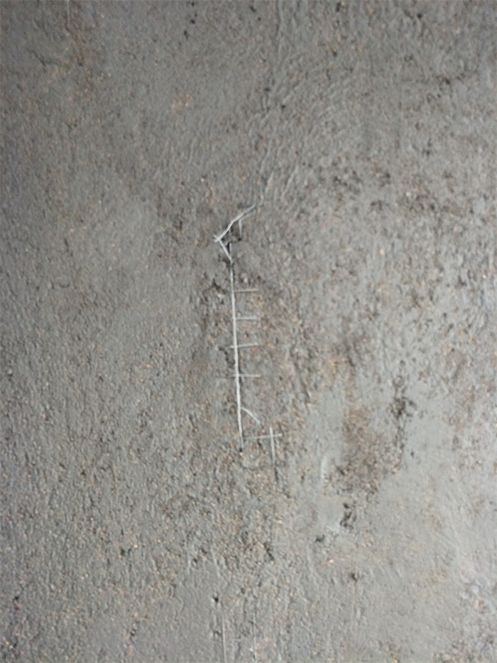 IMG20190512161232.jpg