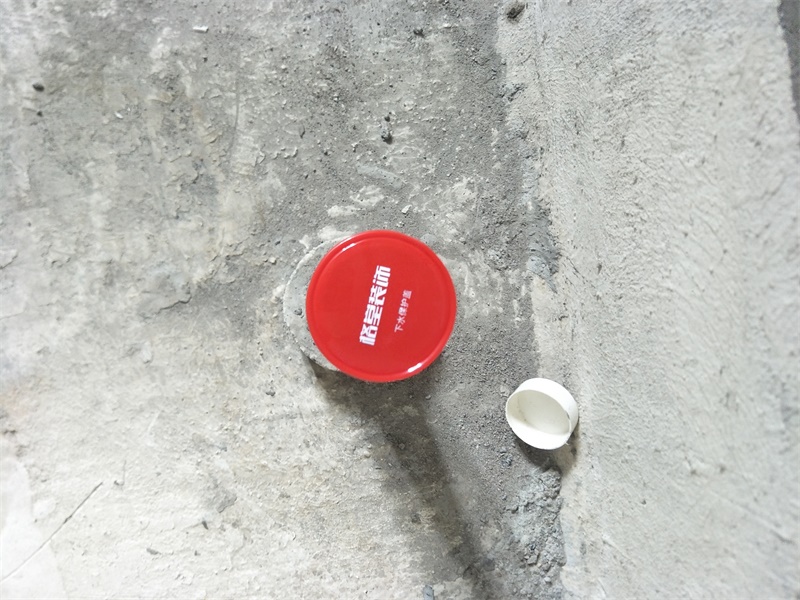 IMG20190706094237.jpg
