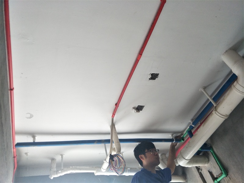 IMG20190702091712.jpg