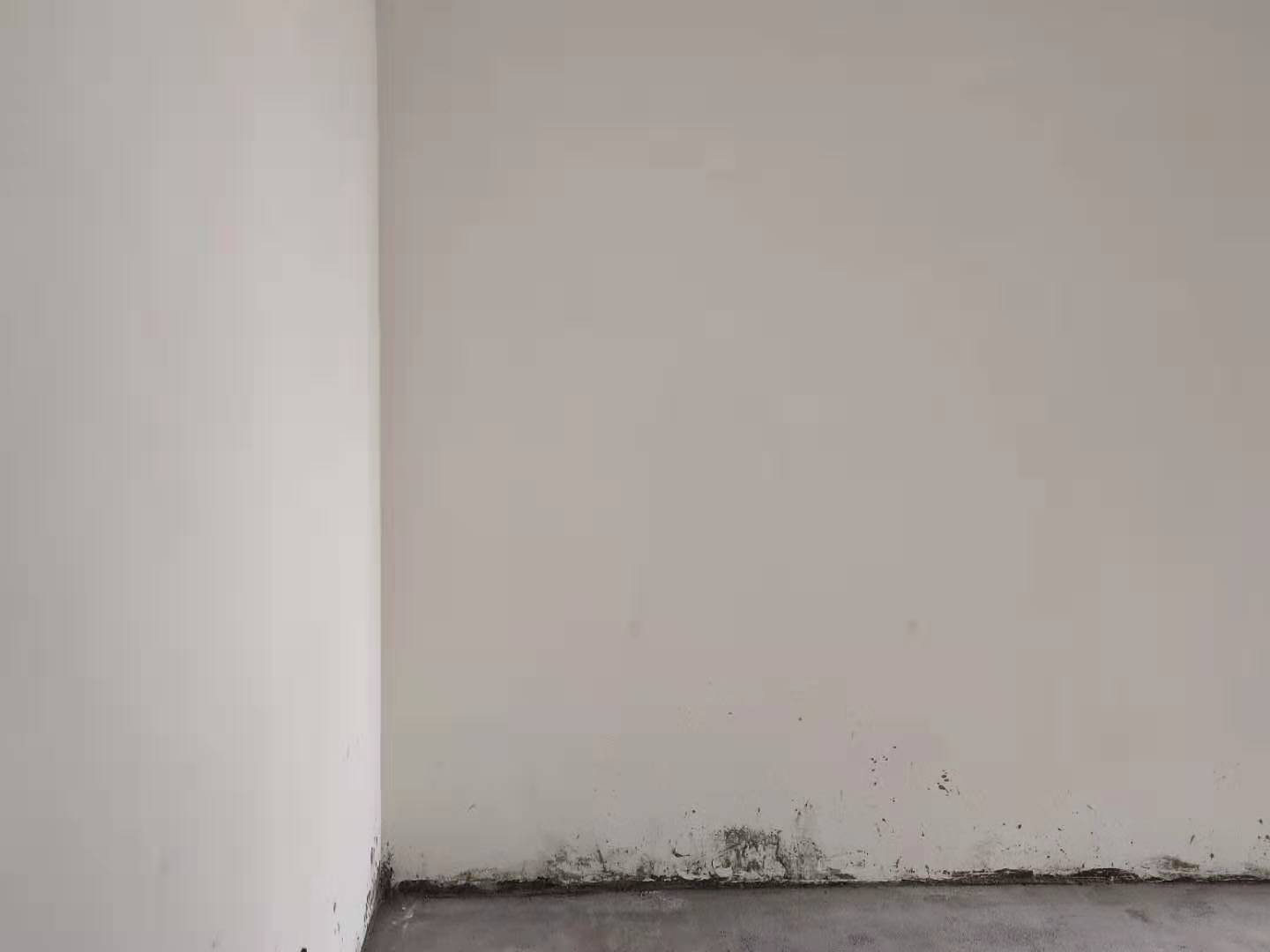 4d57d26489e3136e1b379d701795e9e.jpg