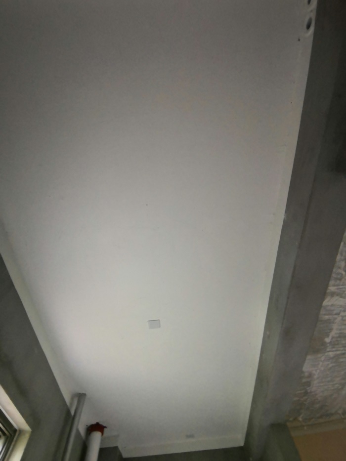 IMG_20190710_143556.jpg