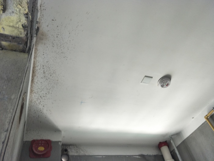 IMG20190518105421.jpg