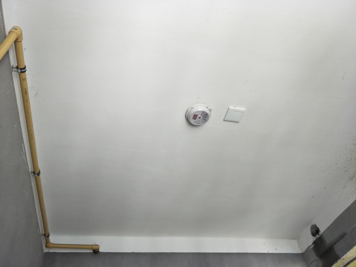 IMG20190518105453.jpg