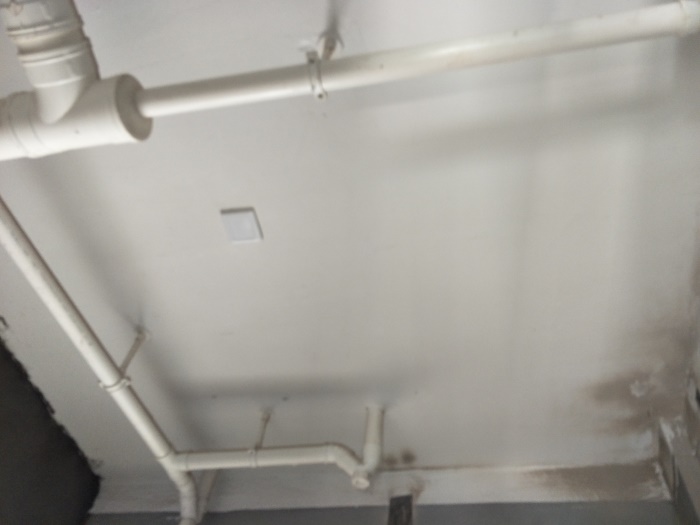 IMG20190518110133.jpg