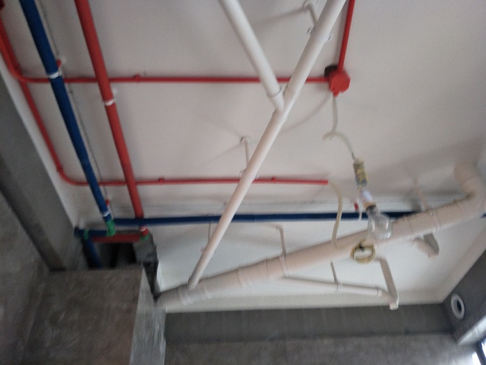 IMG20190515090234.jpg