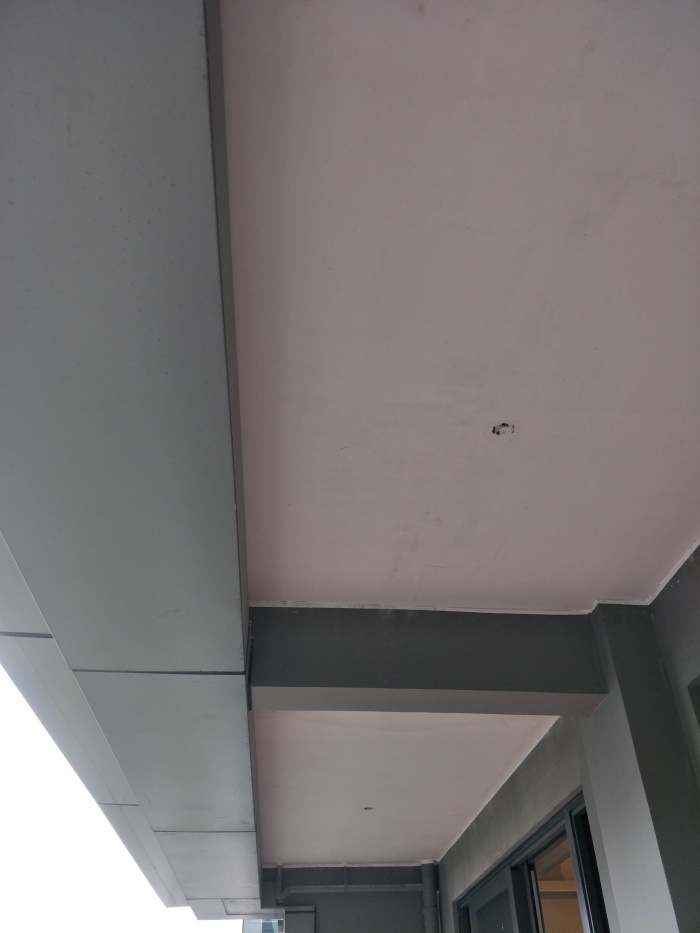 IMG20190520072948.jpg