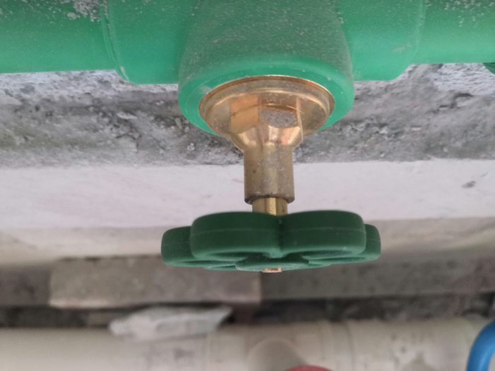 IMG_20190703_111445.jpg