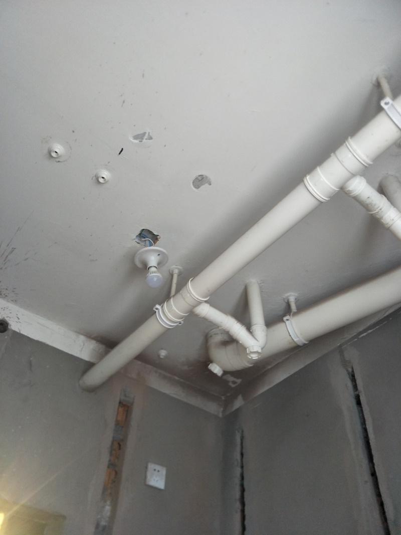 IMG20190710090526.jpg