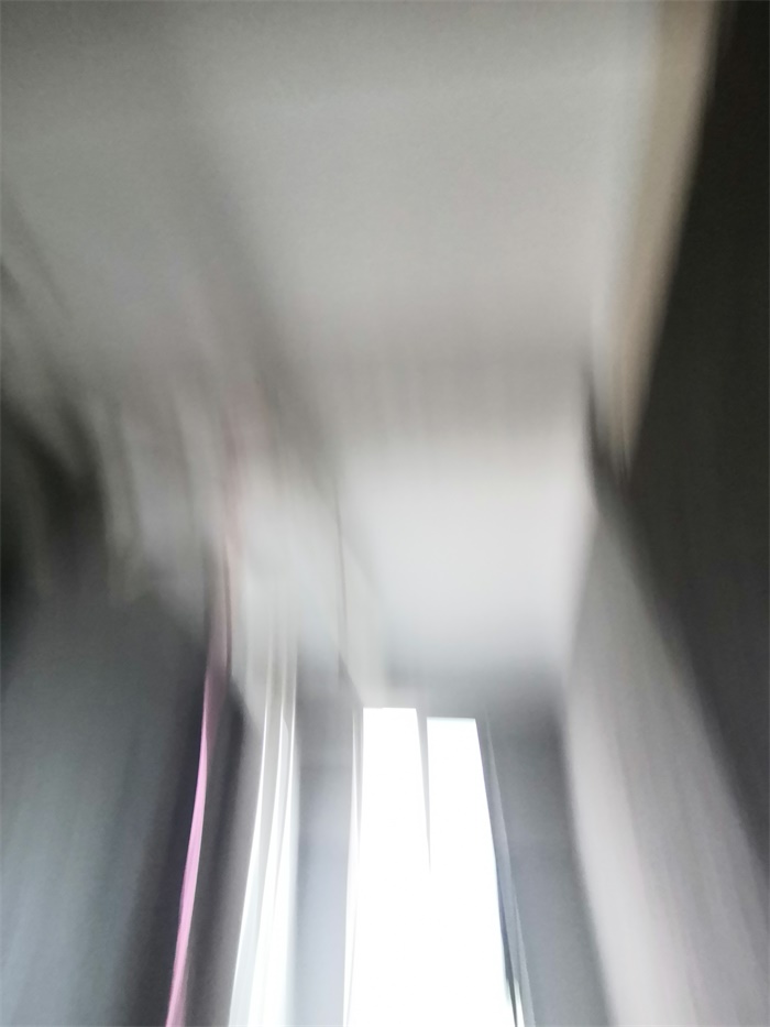 IMG_20190709_115045.jpg