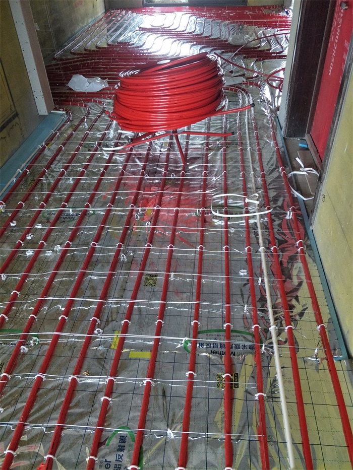 IMG20190520074828.jpg