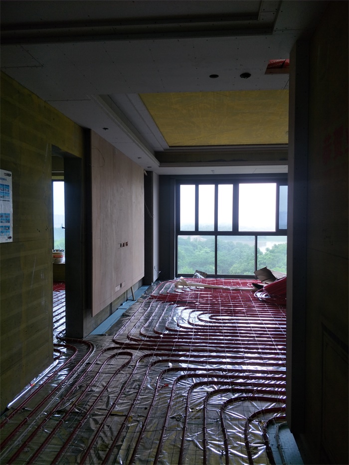 IMG20190520074906.jpg