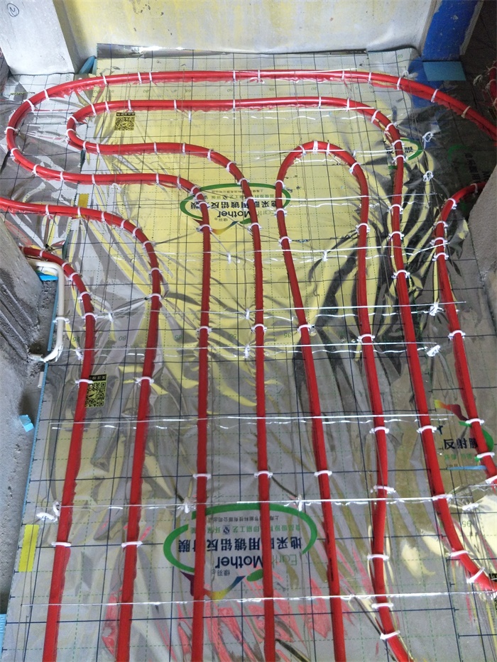IMG20190520075044.jpg
