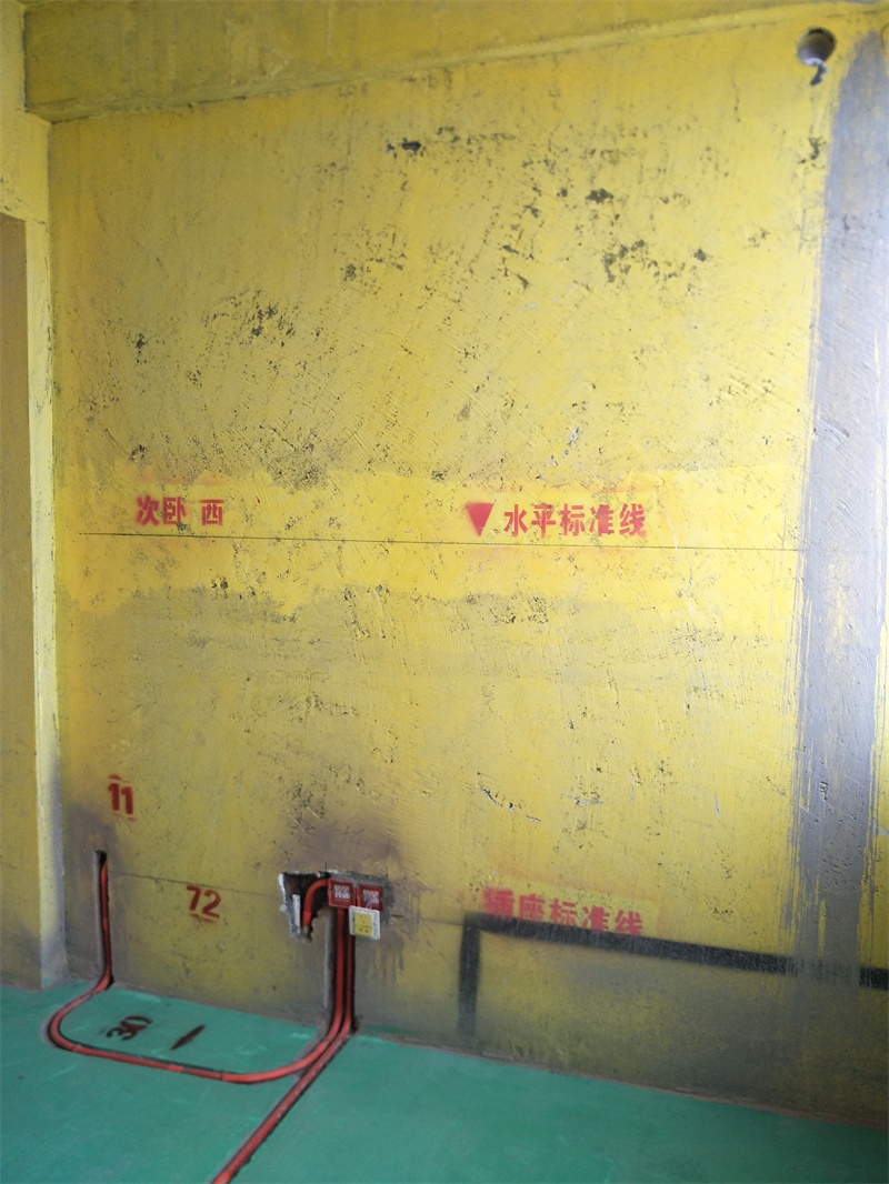 IMG20190711085539.jpg