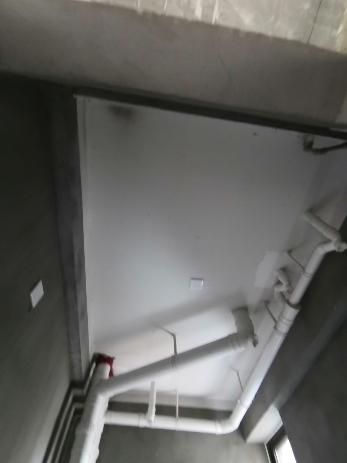 IMG_20190716_105848.jpg