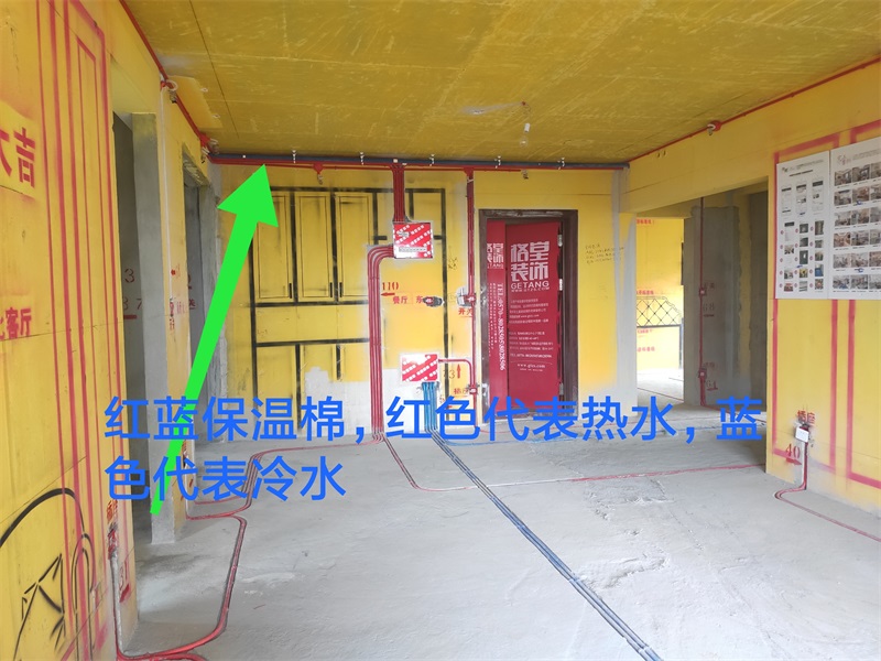 IMG_20190614_103925.jpg