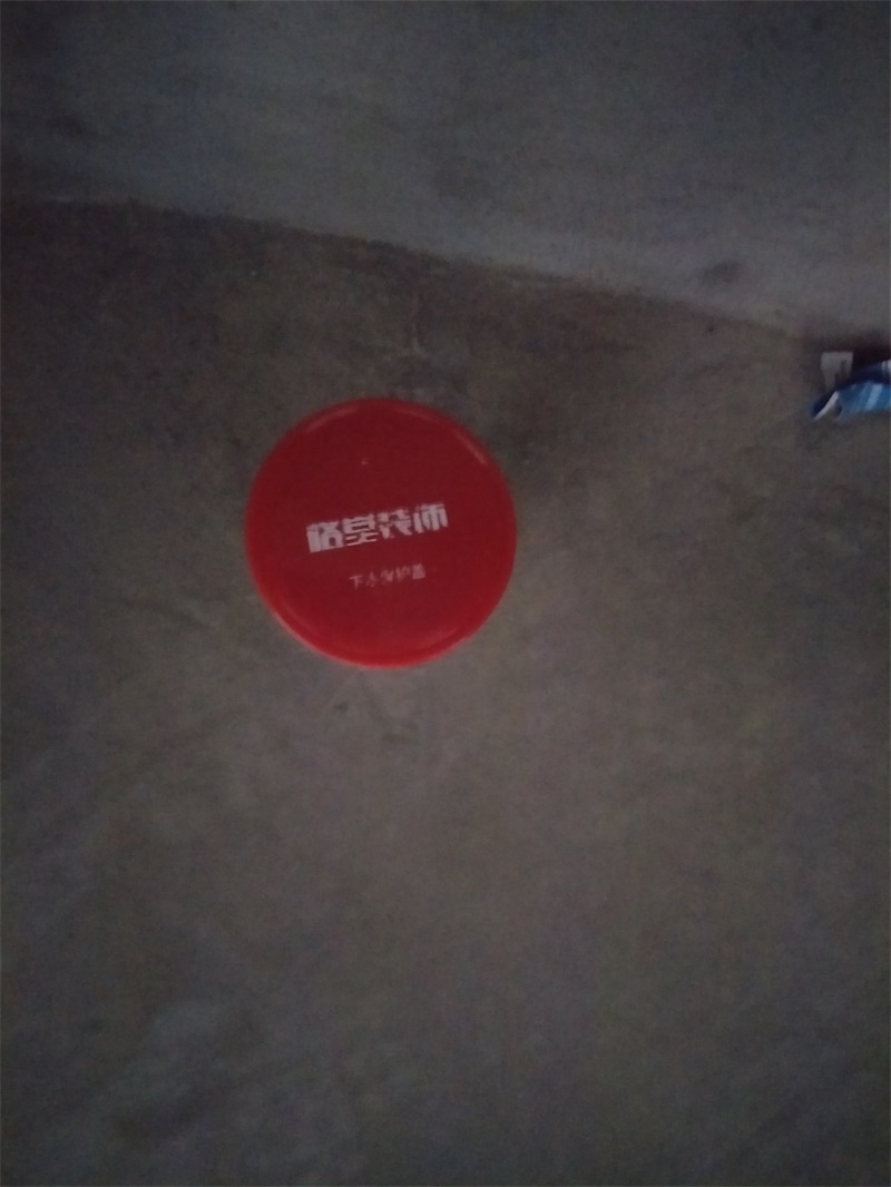 IMG20190717080255.jpg