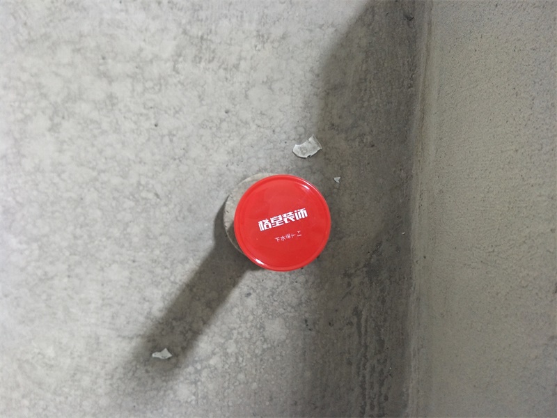 IMG20190717080313.jpg