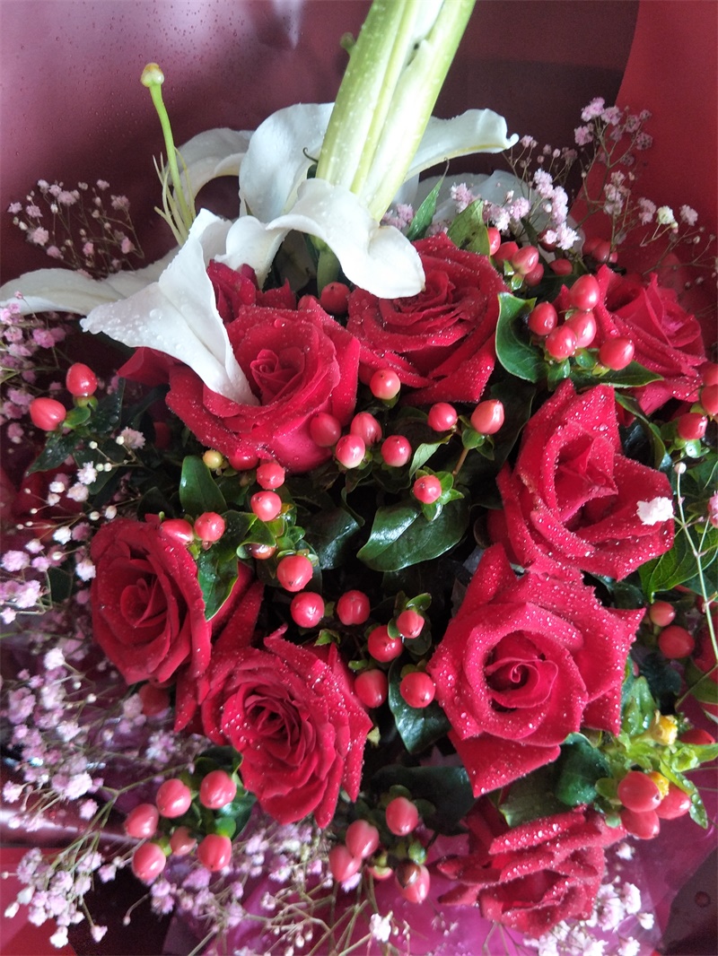 IMG20190717080351.jpg