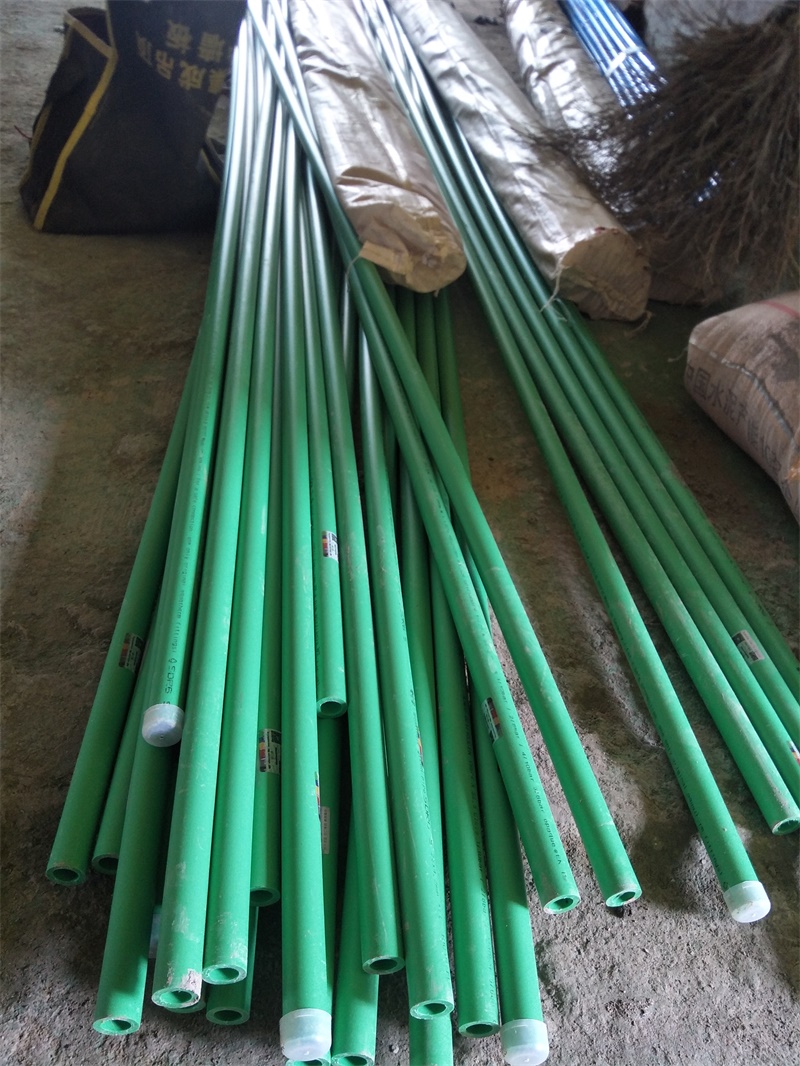 IMG20190716100635.jpg