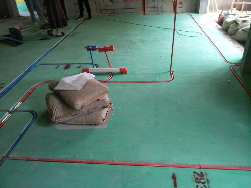 IMG20190629101703.jpg