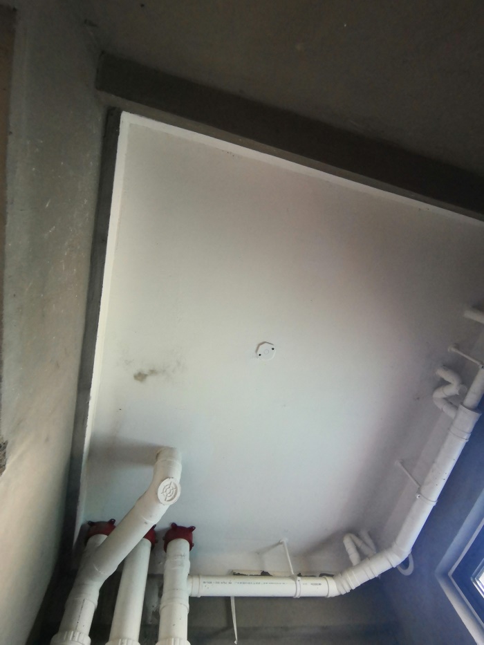 IMG_20190725_082823.jpg