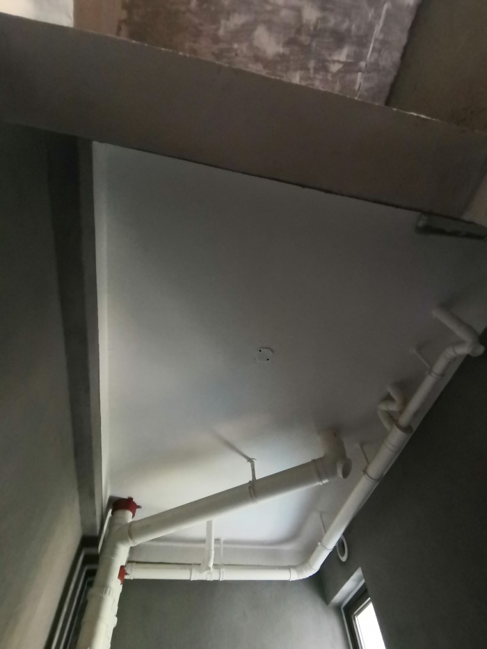 IMG_20190725_082910.jpg