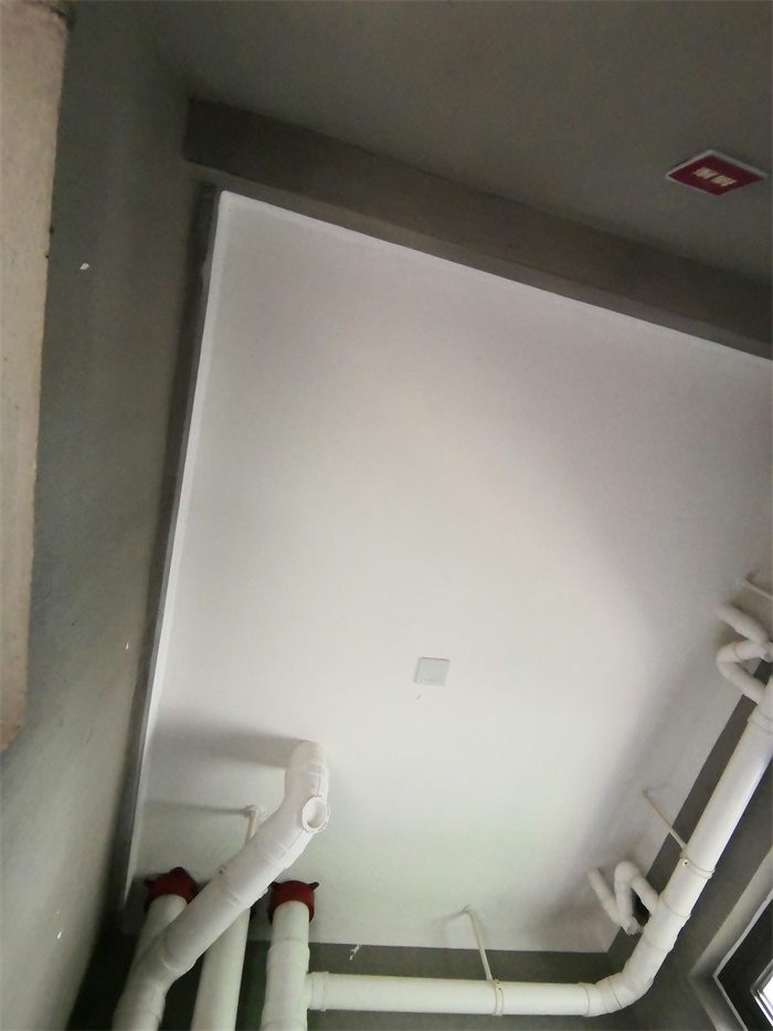 IMG_20190706_133930.jpg