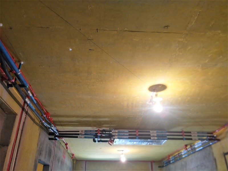 IMG20190720134046.jpg
