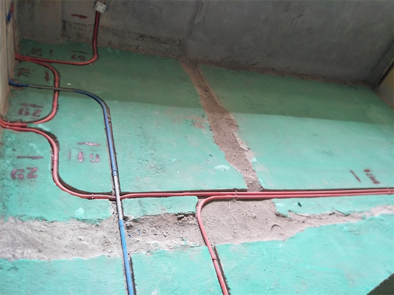 IMG20190720150728.jpg
