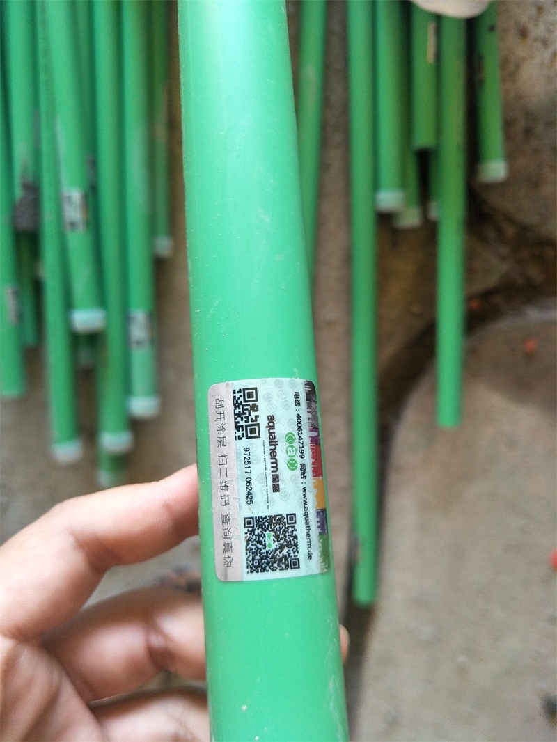 IMG20190711155556.jpg
