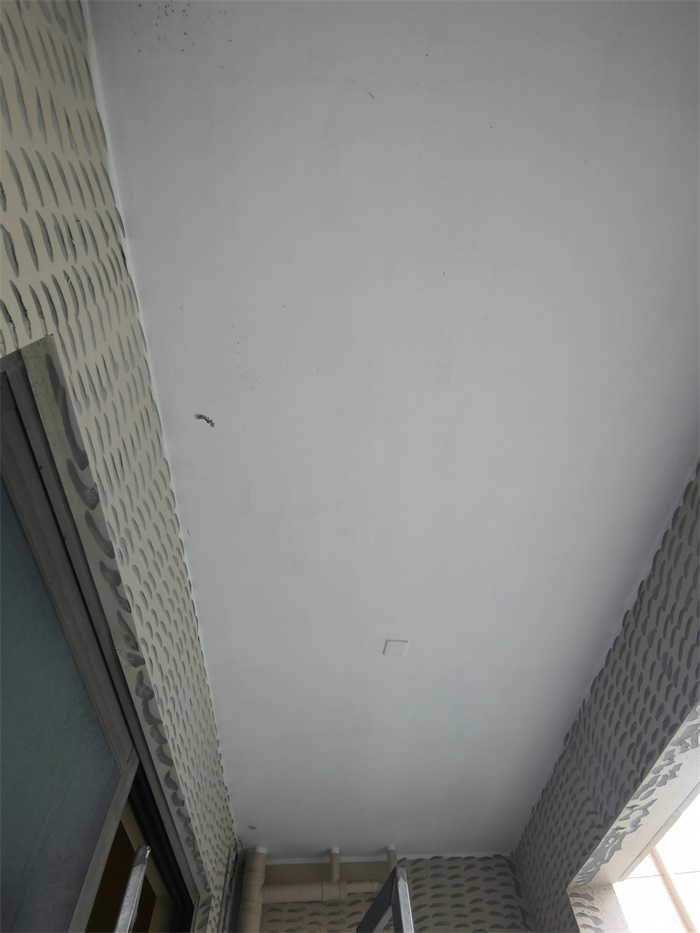 IMG_20190721_152752.jpg