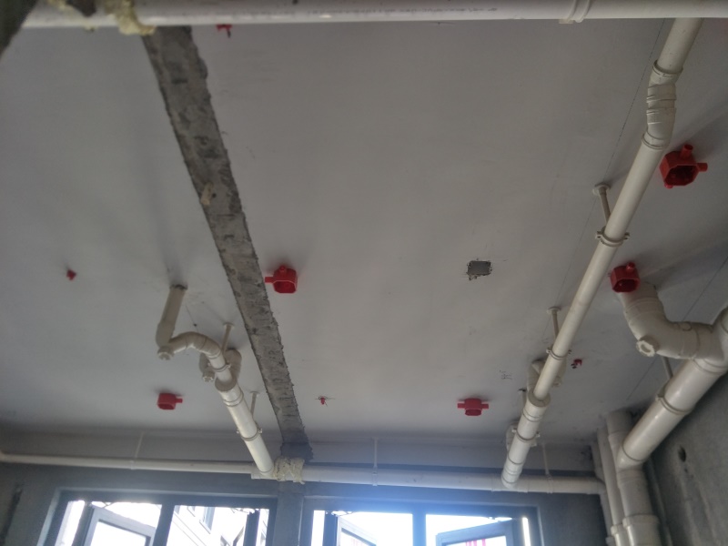 IMG20190726081359.jpg