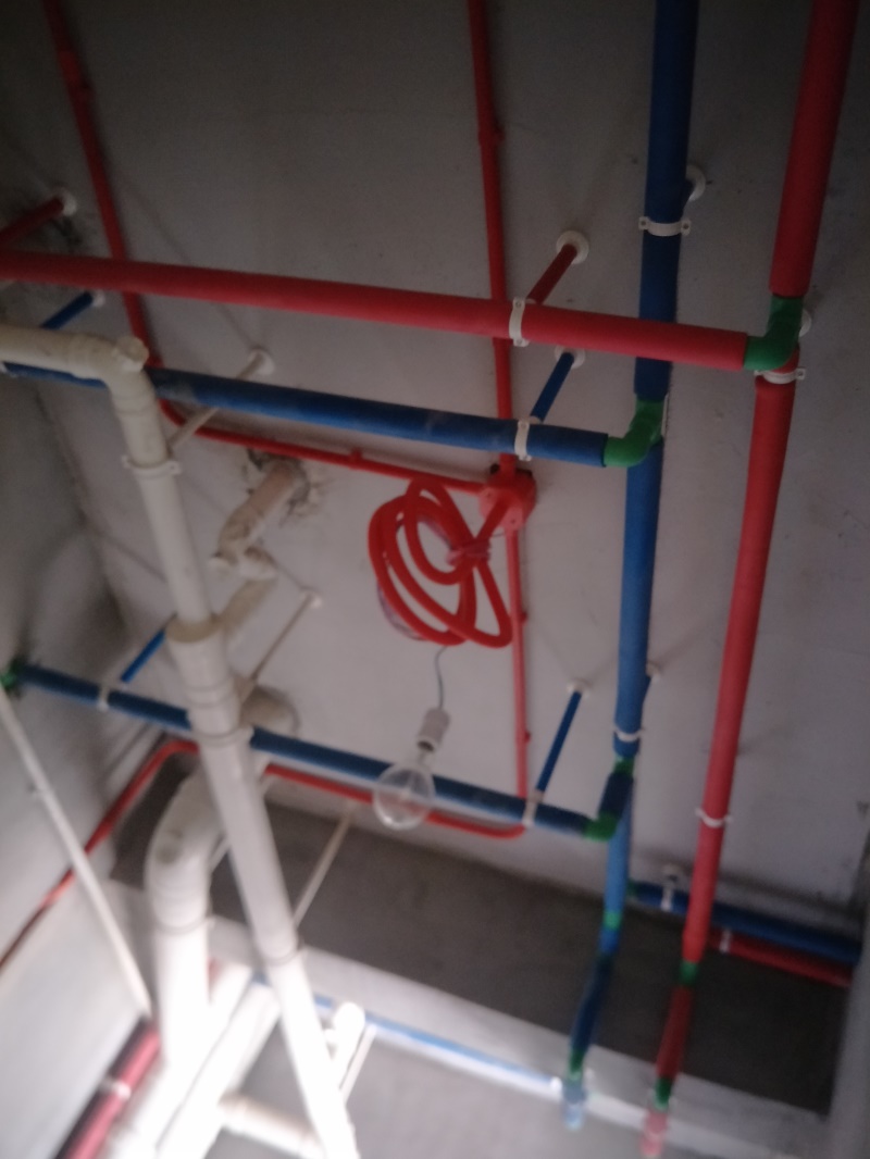 IMG20190725092825.jpg