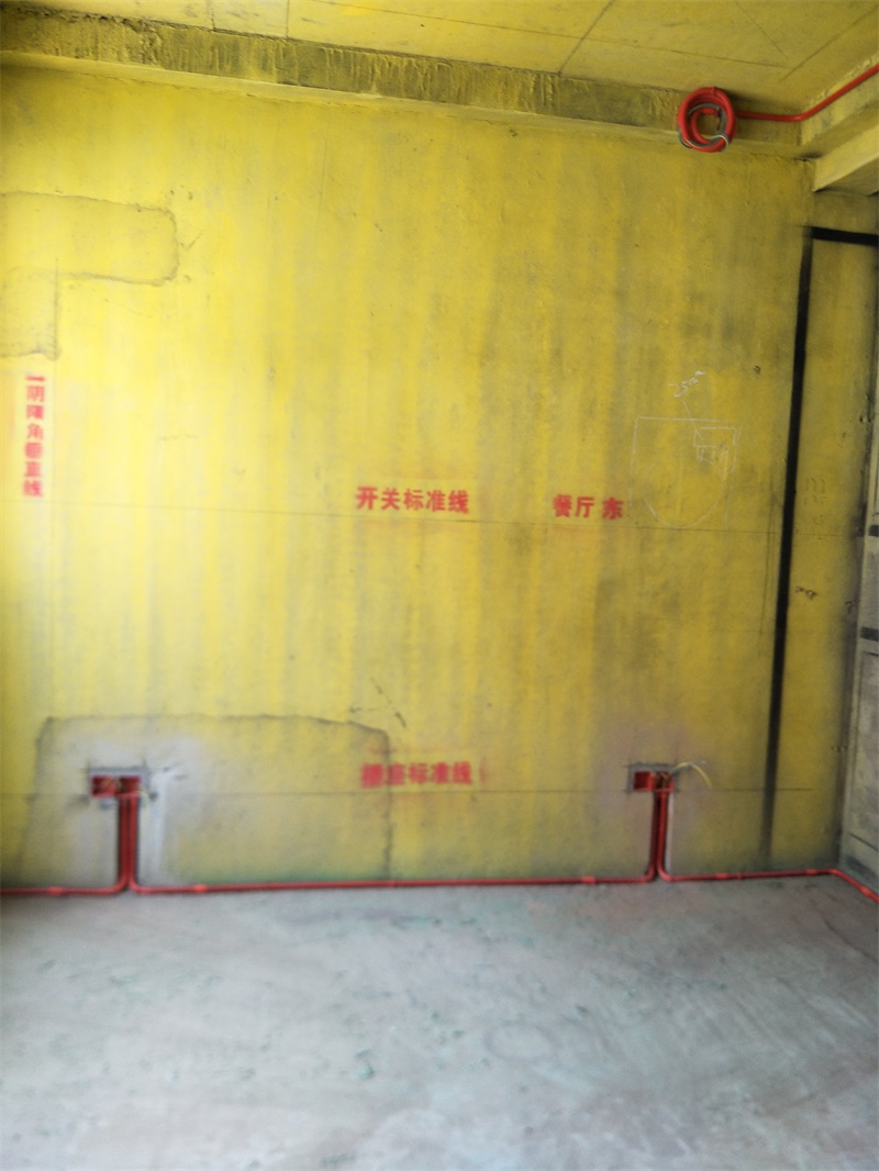 IMG20190725093114.jpg