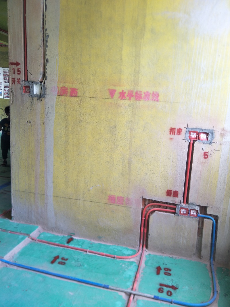 IMG20190726091257.jpg