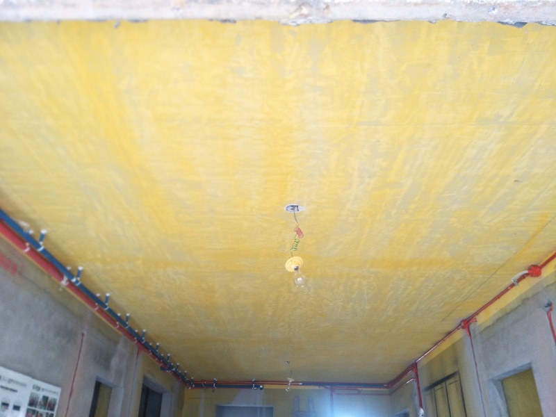IMG20190726074915_1.jpg