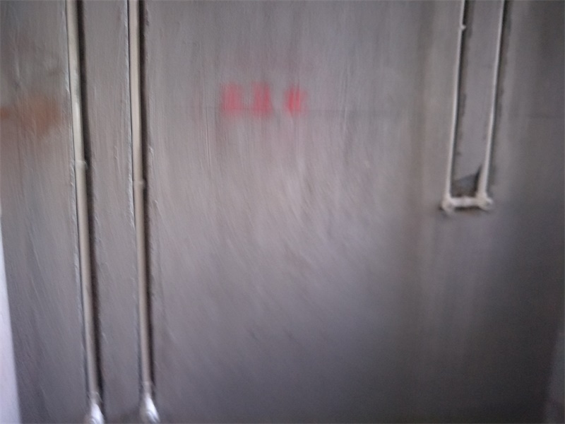 IMG20190726075147.jpg