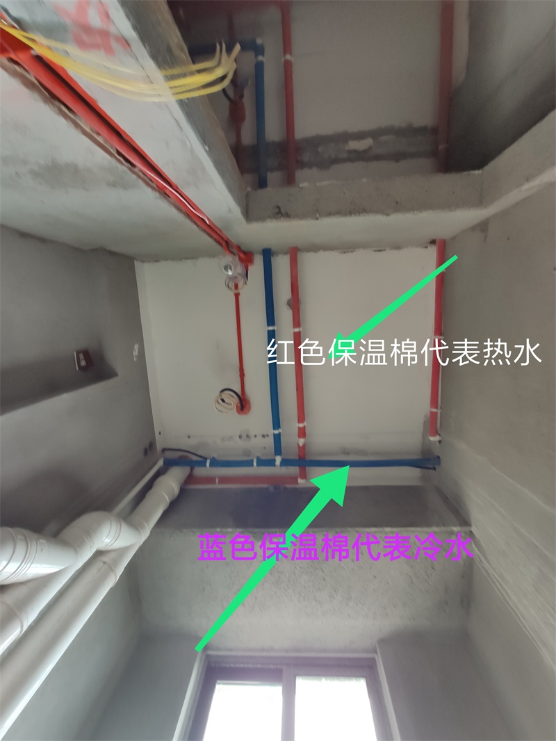 IMG_20190614_115456.jpg