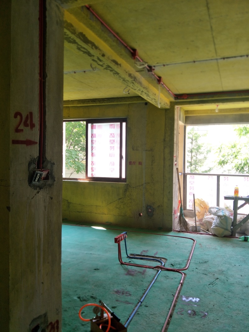 IMG20190726100134.jpg