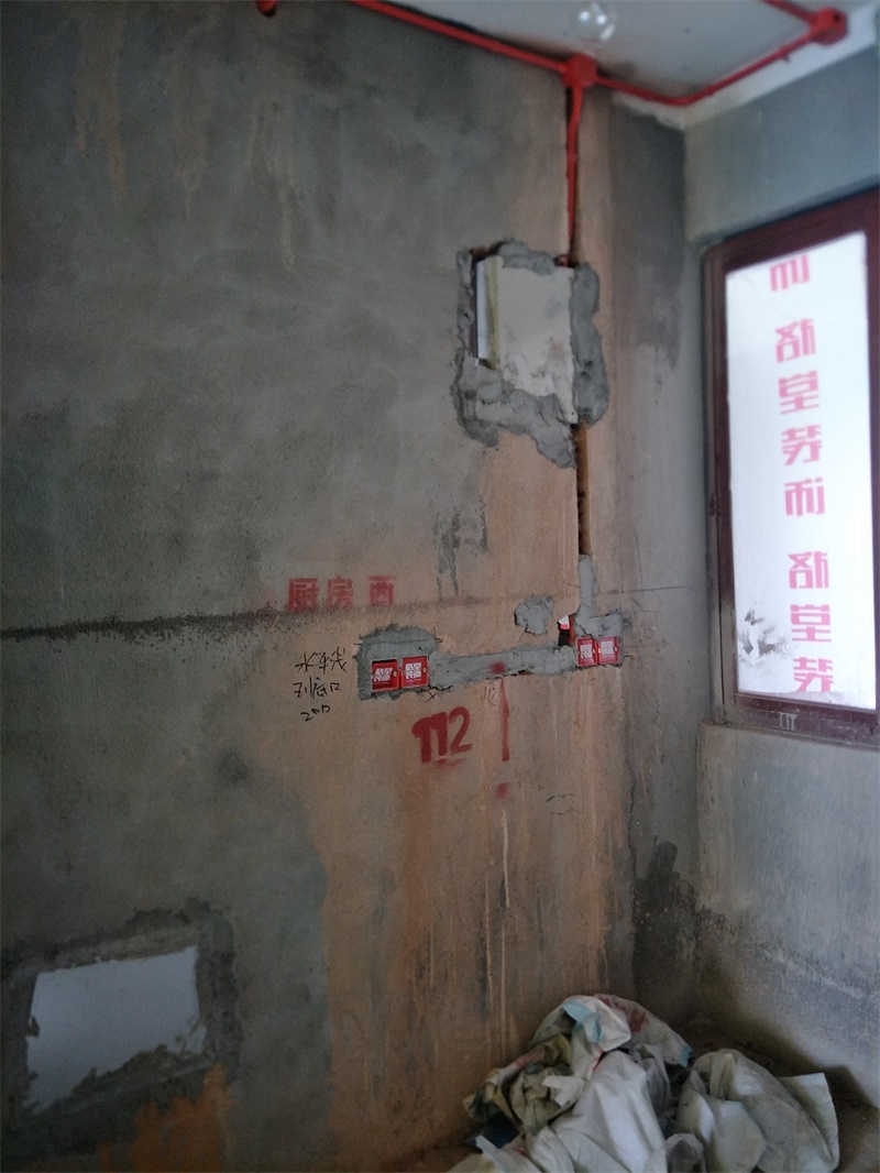 IMG20190726100433.jpg
