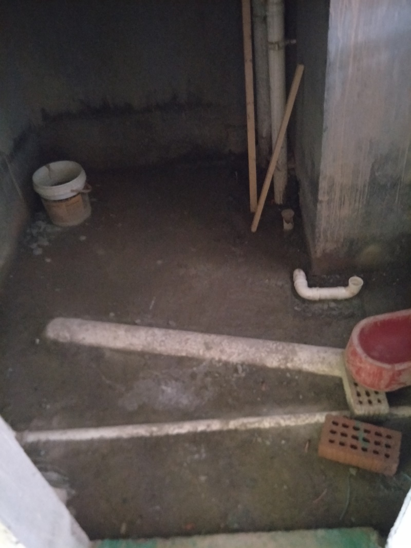 IMG20190726100548.jpg