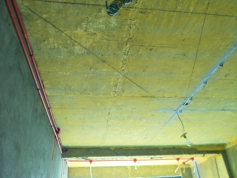 IMG20190726100850.jpg